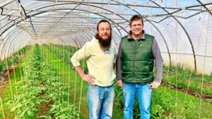 Start-up aus Nürtingen: Lokora vernetzt die Landwirtschaft mit den Abnehmern
