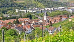 Schöne Perspektiven  aufs Weinparadies