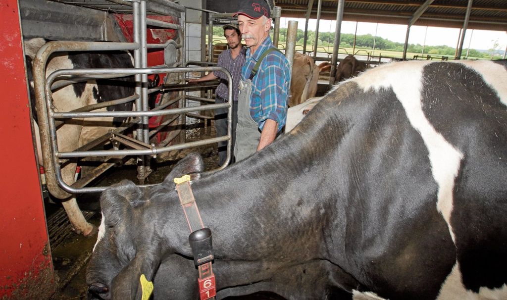 UNTERENSINGEN:  Die Milchkrise bringt Landwirte wie Erich Kemmner in Existenznot - „Soforthilfe eine Schande“: Wer holt die Kuh vom Eis?