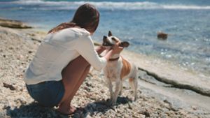 Reisen in Europa: Das gibt es beim Urlaub mit Hund zu beachten
