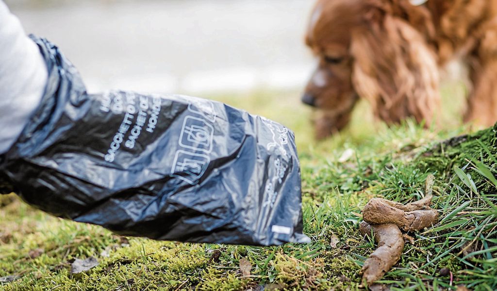 Städte im Südwesten suchen Paten für Hundekotbeutel - Uneinsichtigen Tierhaltern droht ein Bußgeld: Tüten gegen „Tretminen“