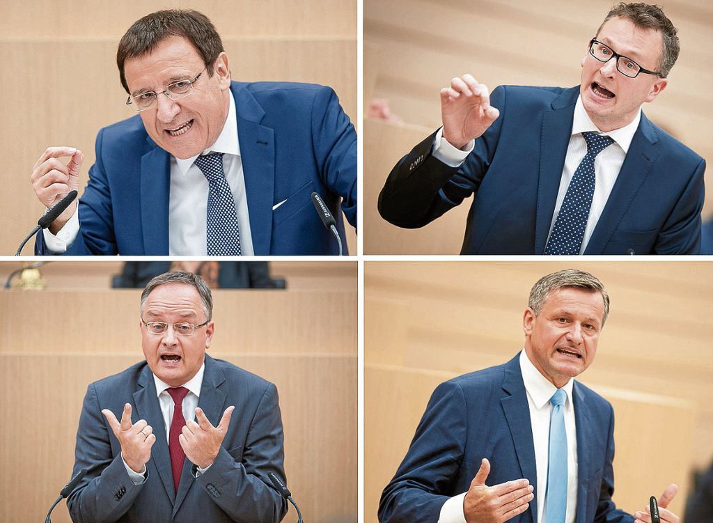 Landtagsfraktionen von Grünen, CDU, SPD und FDP rüsten sich für den Herbst - Unterschiedliche Schwerpunkte: Gemeinsam gegen die AfD