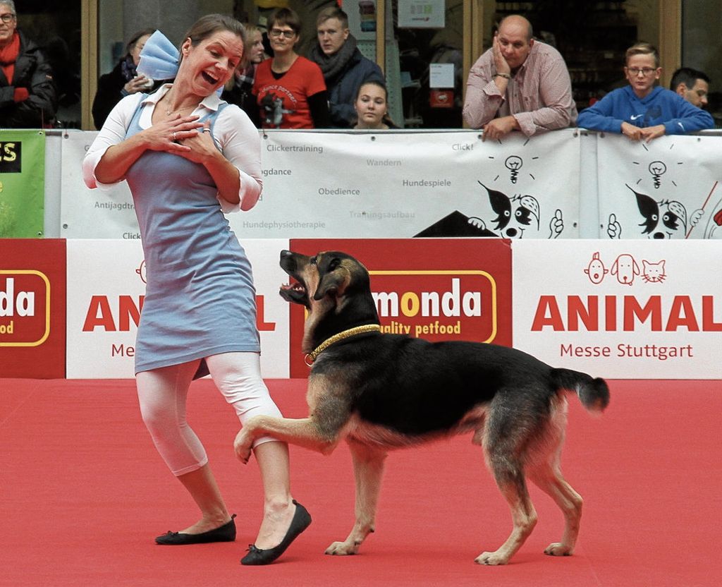 Auf der Messe „Animal“ kommen Zwei- und Vierbeiner beim „Dogdance“ gleichermaßen groß raus: Die mit dem Hund tanzt