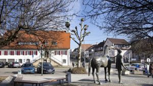 Bürgermeisterwahl in Köngen: Anja Göttker und Gabriel Ileri kandidieren