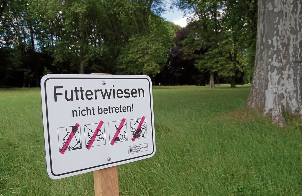 Liegeflächen im Schlossgarten sind rar - Wilhelma nutzt fünf Hektar als Futterwiesen: Kaum Platz für Erholungssuchende