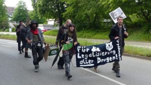 Kommunalwahl in Baden-Württemberg: Immer mehr Listen – sogar Punks drängen in die Politik