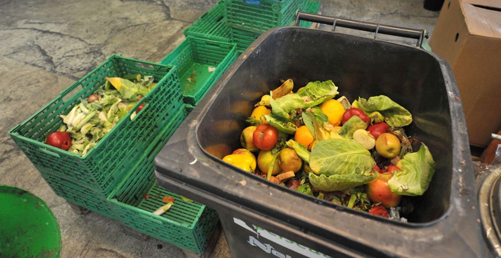 Viele noch genießbare Lebensmittel landen im Müll: Alternativen zum Wegwerfen