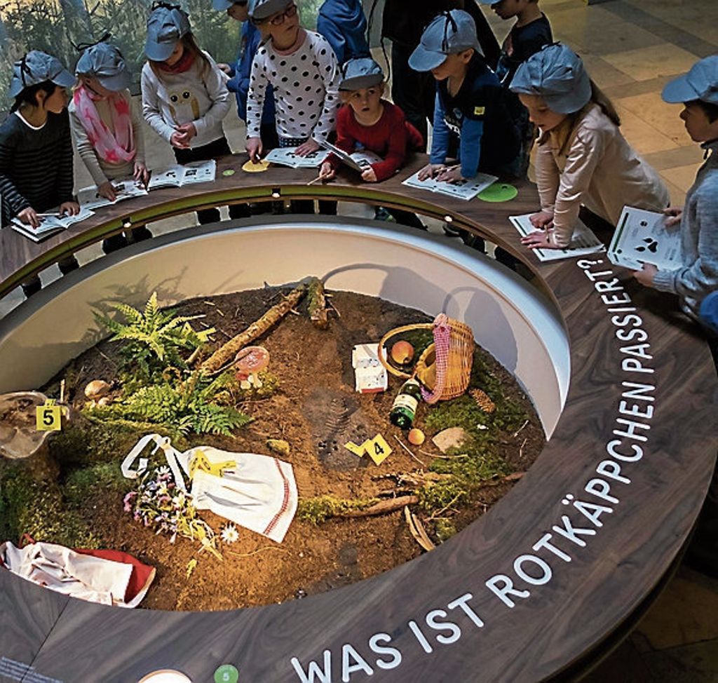 Naturkundemuseum Stuttgart steigert Besucherzahlen um knapp zehn Prozent: Naturdetektive ein Publikumsmagnet