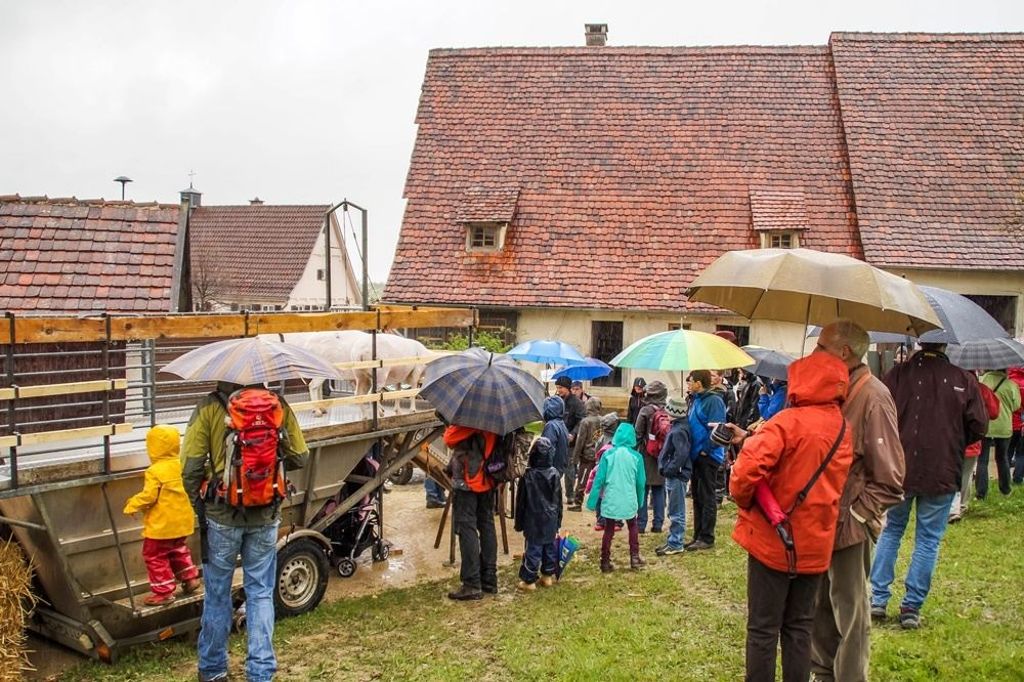 16.4.2016 Die 17. Schäfertage in Beuren lockten trotz regenerischen Wetters viele Besucher an.