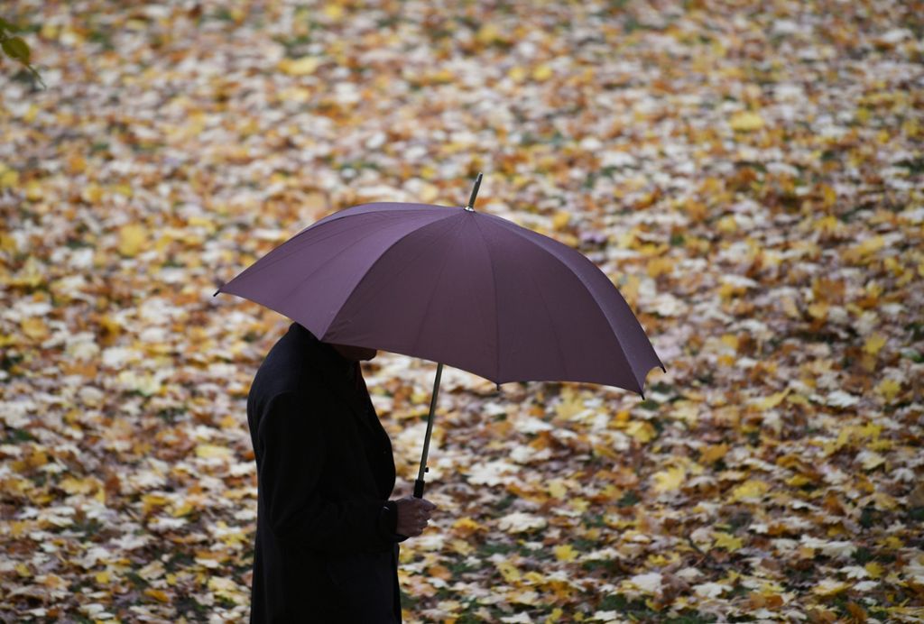 Meteorologen erwarten milde Novembertage in Baden-Württemberg