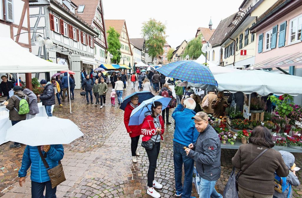 Buntes Markttreiben und grauer Himmel: Besucher trotzen beim Plochinger Herbst dem Regen