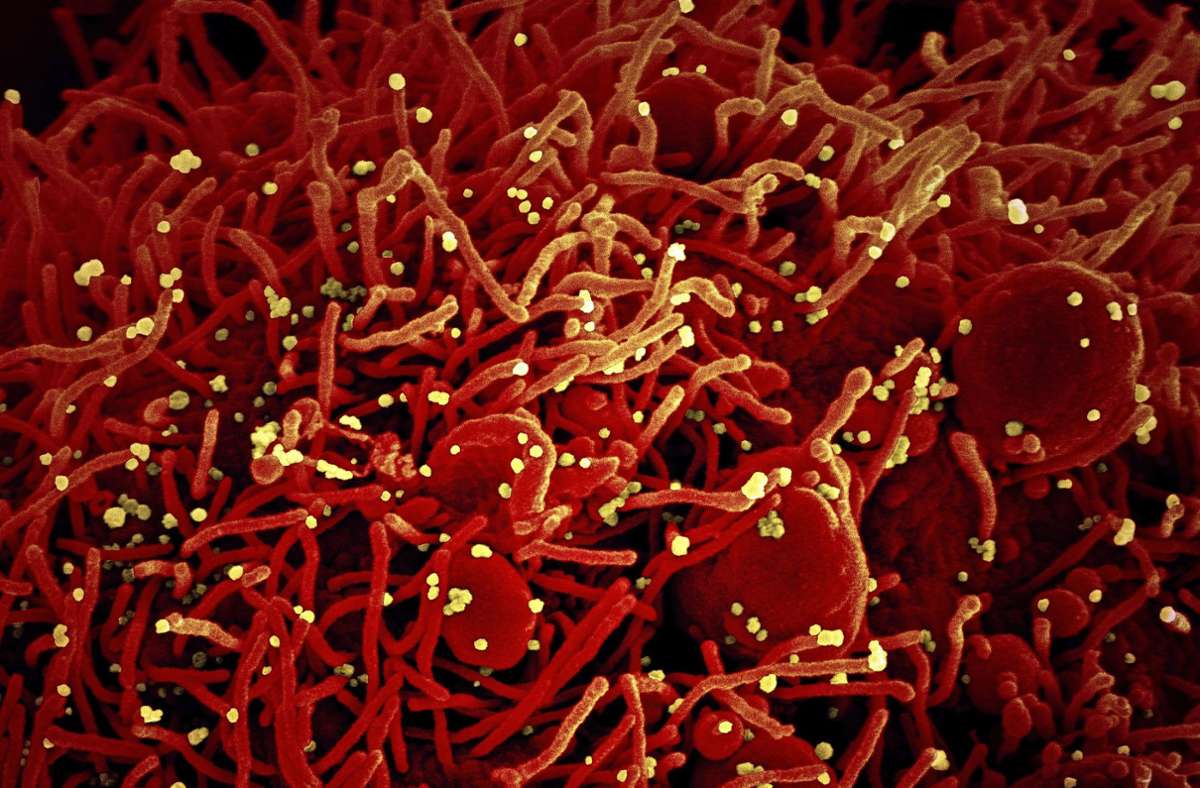 Pandemie im  Landkreis: Corona-Alarmstufe Rot im Kreis Esslingen
