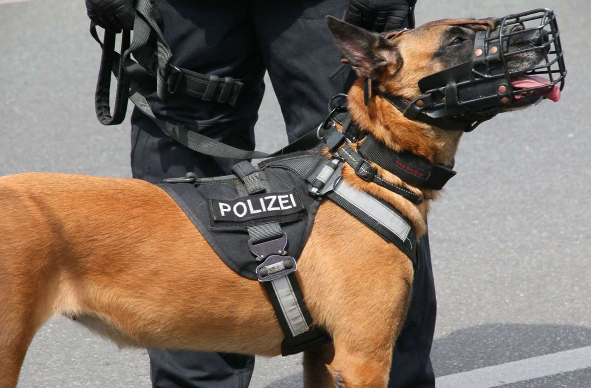 Karlsruhe: Polizeihund  beißt Macheten-Mann in den Arm