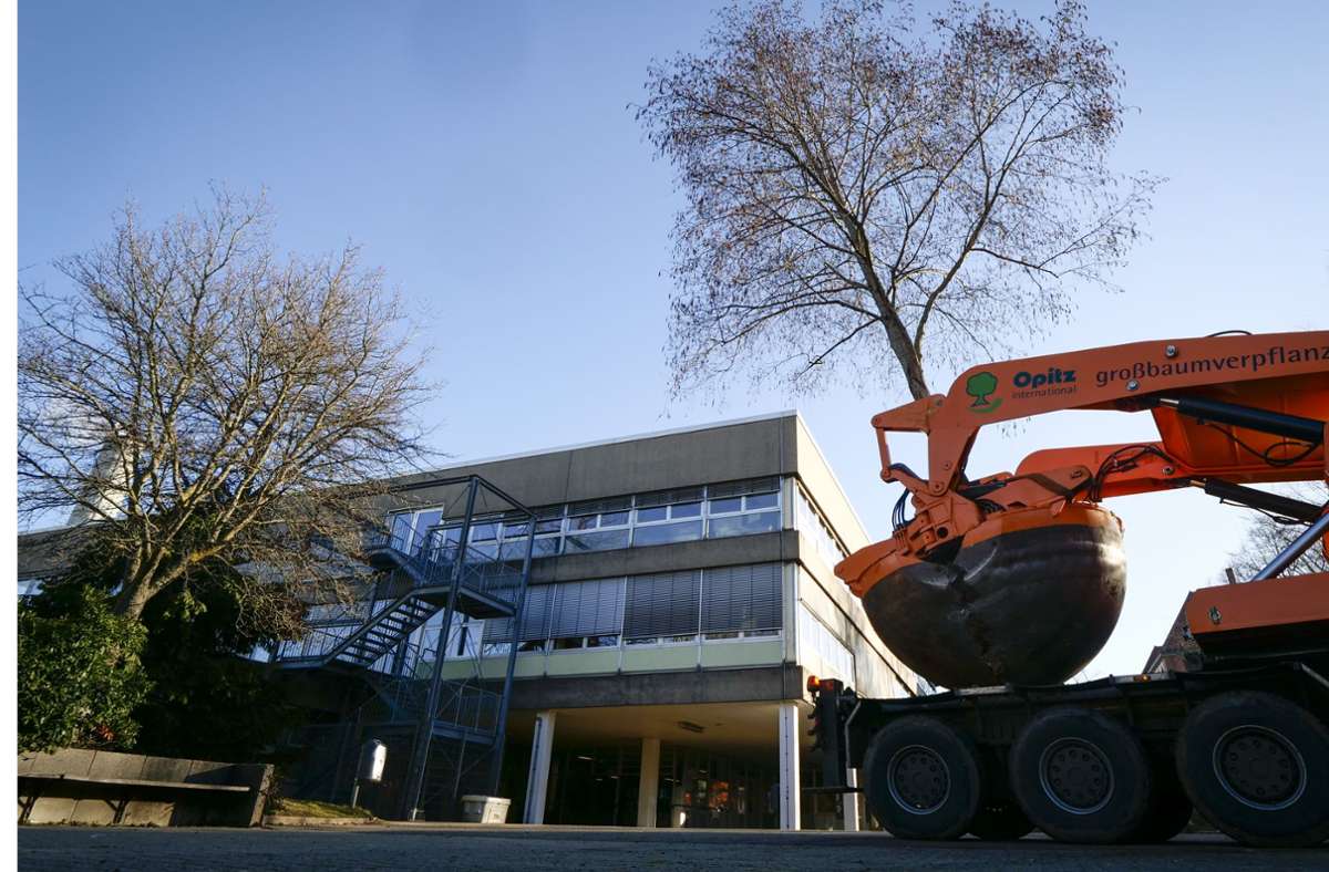 Großprojekt in Ludwigsburg: 85 Bäume fallen am Bildungszentrum West