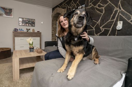 Trainerin Nicole Hahn und Hund Schnuffel, der seit vielen Jahren ein Zuhause sucht. Foto: factum/Andreas Weise