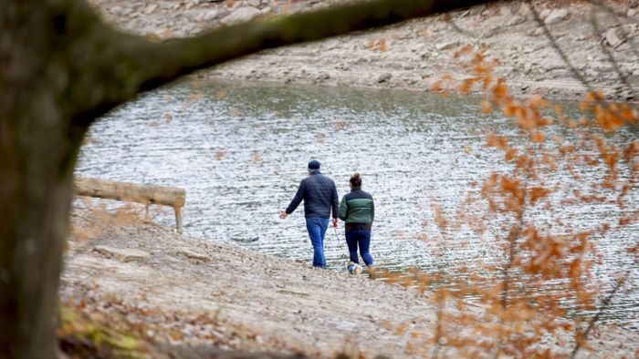Naherholungsgebiet in Stuttgart: Im Frühjahr soll wieder Wasser im Bärensee sein