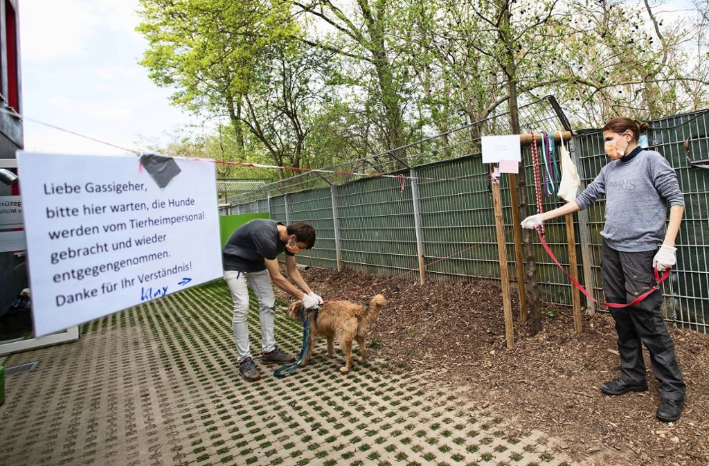Tierheim Esslingen: Neue Herausforderungen fürs Tierheim