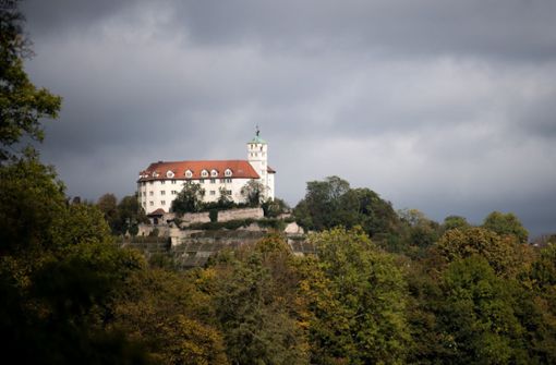 Schloss Kaltenstein in Vaihingen/Enz ist weithin sichtbar und prägt das Stadtbild seit Langem. Foto: dpa/Sebastian Gollnow