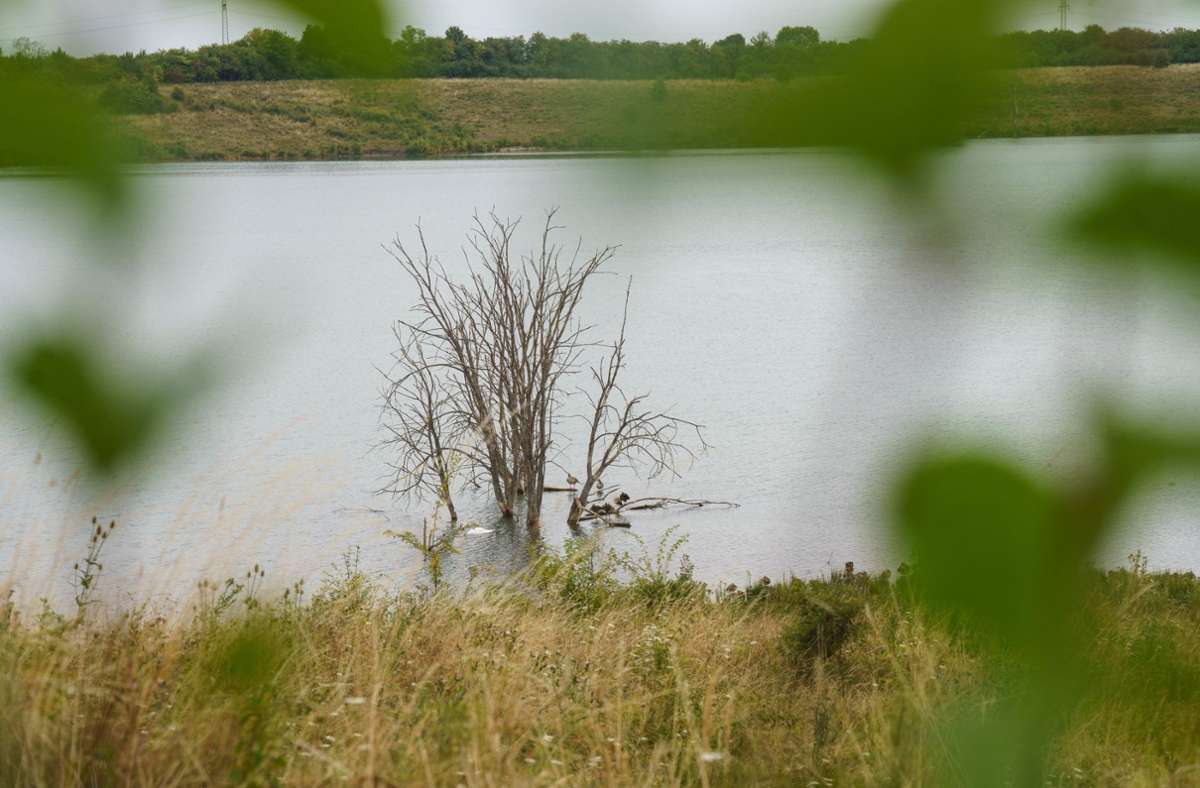 Die  Leiche der vermissten 14-Jährigen aus Gottenheim war an einem kleinen See in einem Naturschutzgebiet der Wetterau nördlich von Frankfurt am Main gefunden worden. Foto: dpa/Frank Rumpenhorst