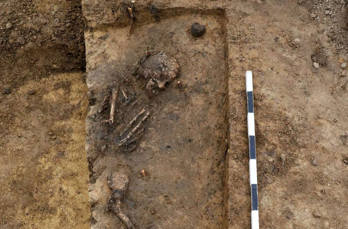 Ausgrabung in Leinfelden: Anthropologe nimmt uralte Knochen unter die Lupe