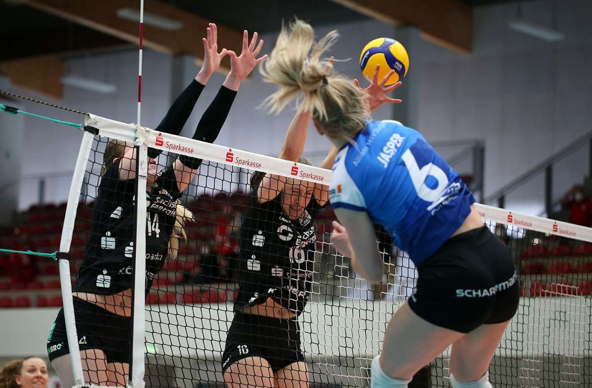 Volleyball: Das sind die  14 Spielerinnen des MTV Stuttgart für die neue Saison