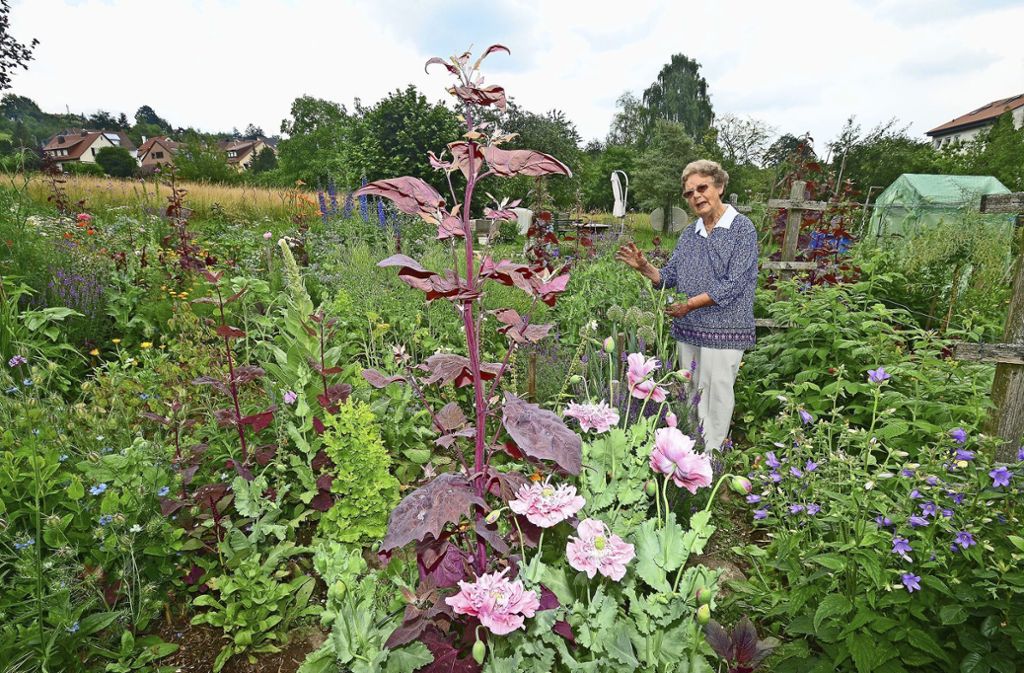 34 Gartenbesitzer aus der Region öffnen am 16. Juni ihre Tore und laden zum Schauen ein: Kreis Esslingen: Aktion Offene Gärten am 16. Juni