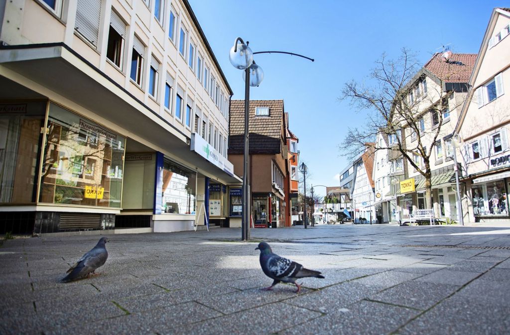 Freie Bahn für geflügelte  Kundschaft in der Plochinger Fußgängerzone. Foto: Tom Weller