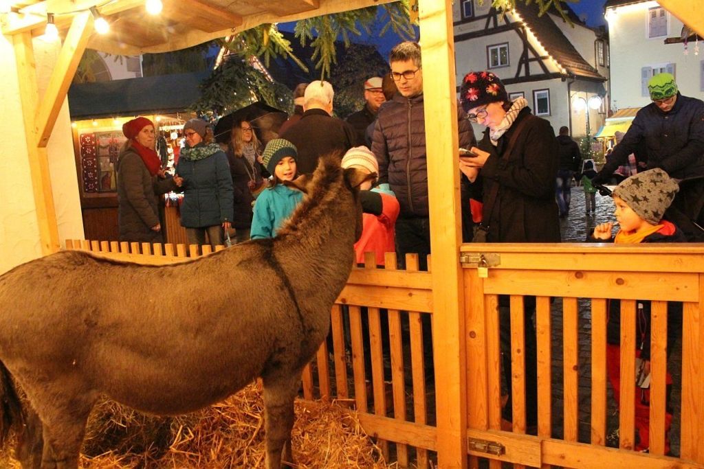 Nicht nur in Esslingen haben die Weihnachtsmärkte ihre Tore bereits geöffnet: Weihnachtsmärkte in der Region