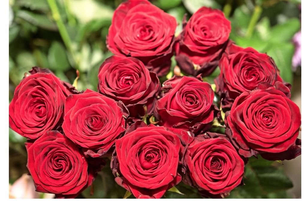 Pro und Kontra: Blumen am Valentinstag?