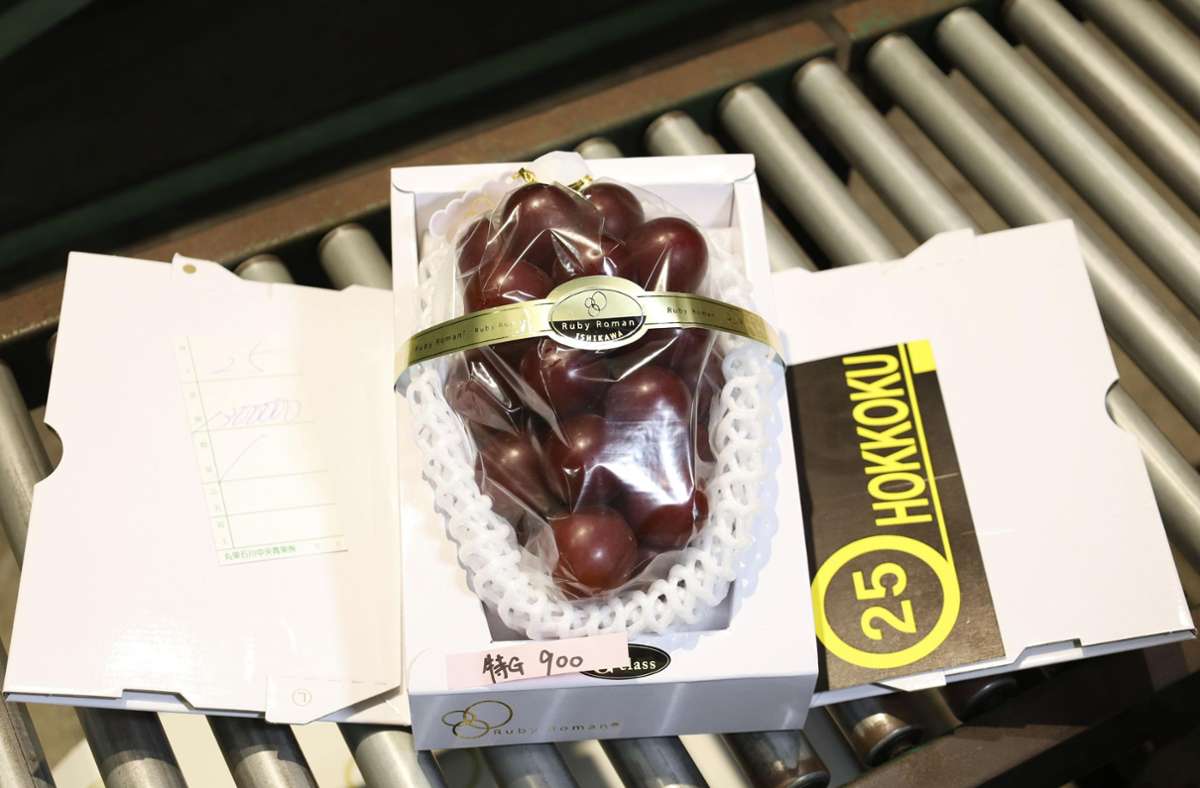 Auktion von „Ruby Roman“ in Japan: Ein Bund Edel-Trauben für 10.000 Euro versteigert