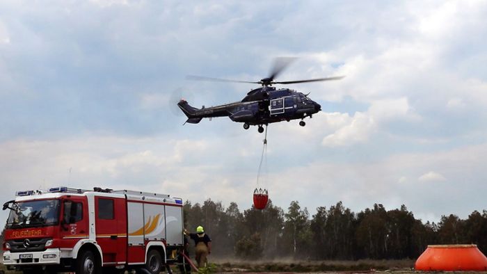 Brände: Waldbrand bei Jüterbog wieder aufgeflammt