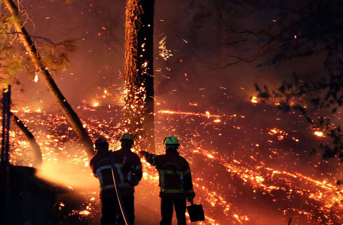 Im Südwesten Frankreichs: Waldbrand zerstört Bäume und etliche Häuser