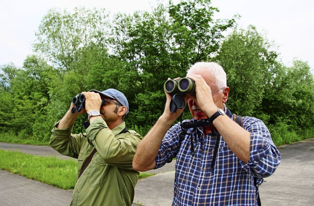 Naturschützer entdecken an den Baggerseen viele interessante Vogelarten.