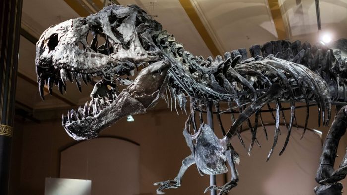 Forscher entdecken uralte Dinosaurier-DNA