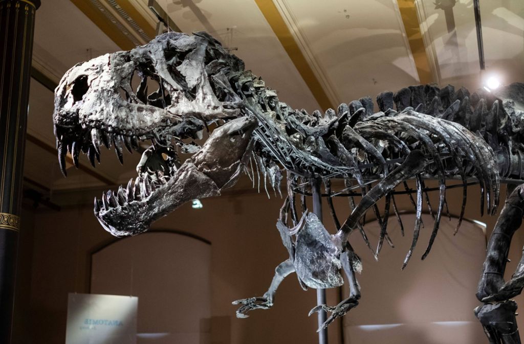 Wie in „Jurassic Park“: Forscher entdecken uralte Dinosaurier-DNA