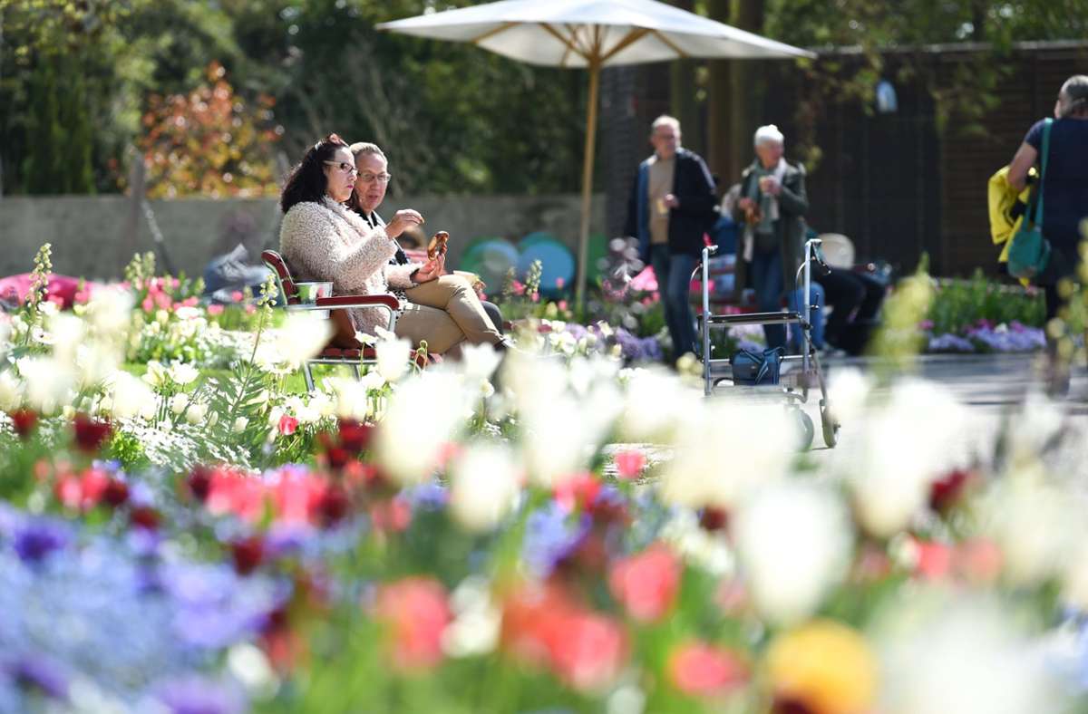 Überlinger Landesgartenschau: Blumenschau am Bodensee ist eröffnet