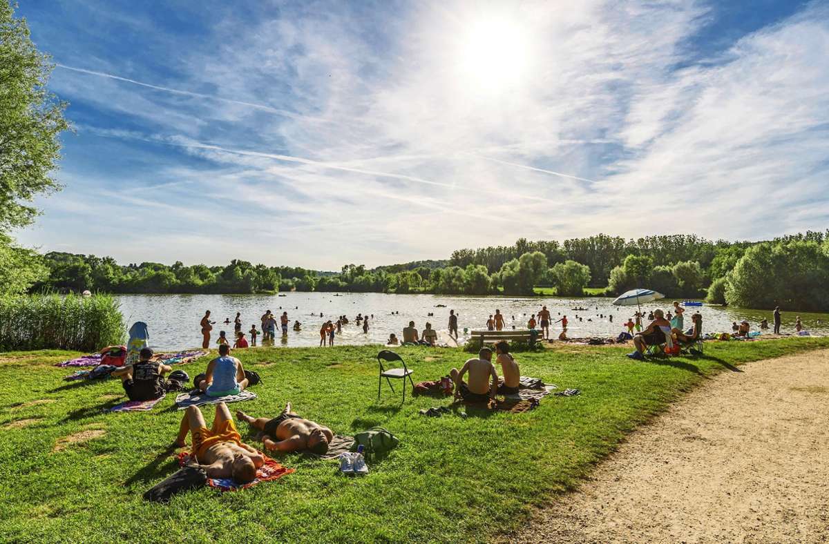 Verschmutzter See im Kreis Esslingen: Gemeinde rät vom Baden ab