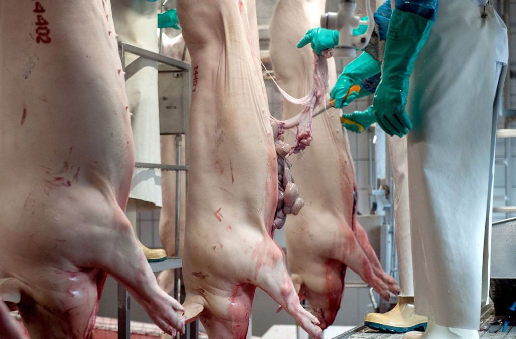 Corona in der Schlachtindustrie: Die Heuchelei der Fleischkonsumenten