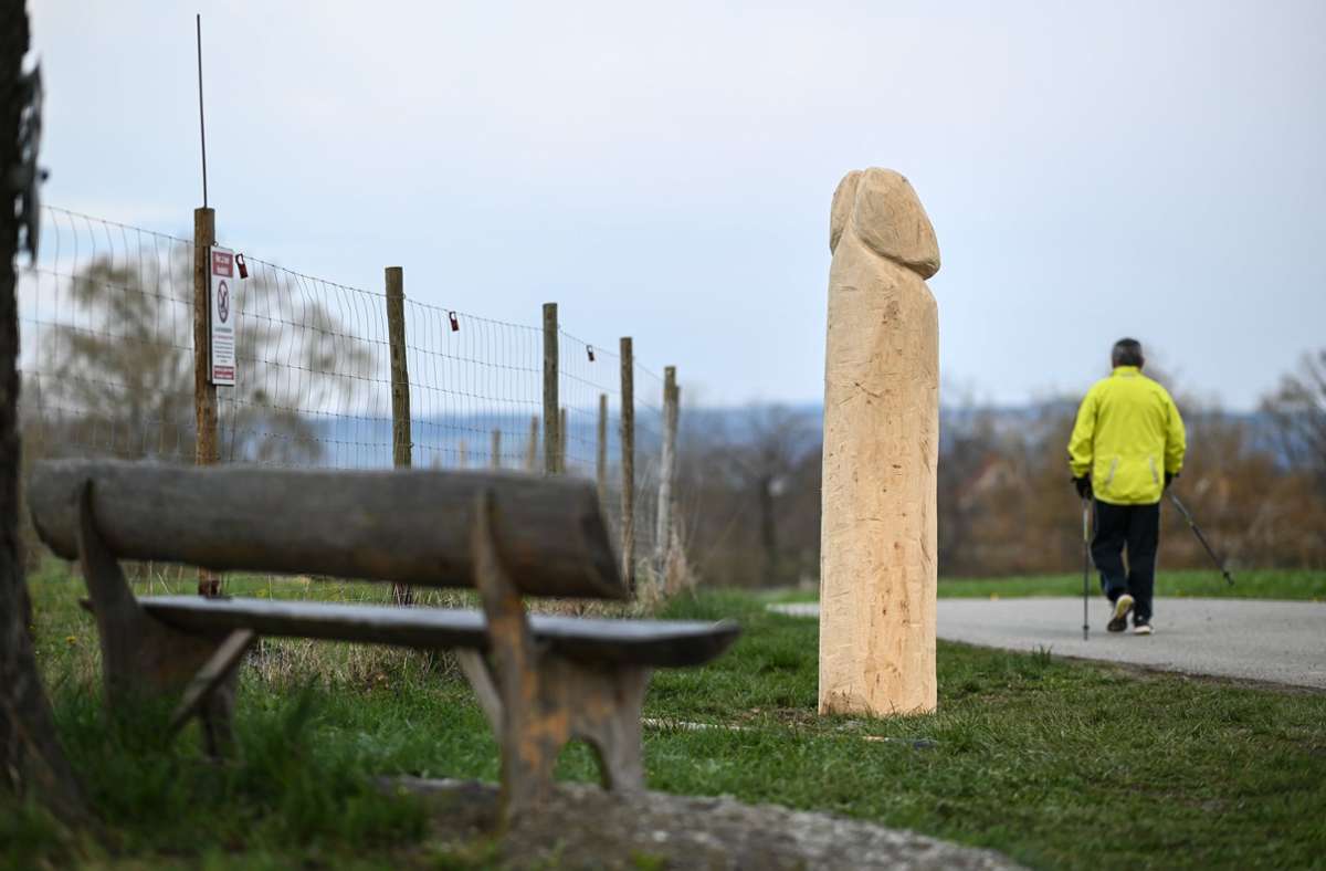 Kurioses aus Ravensburg: Unbekannte stellen riesigen Holzpenis auf