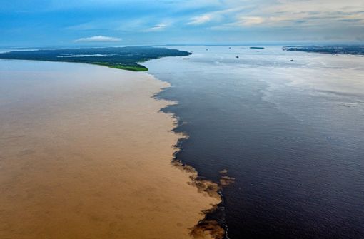 Der  Rio Negro ist teilweise schon bräunlich verfärbt. Foto: Imago/Michael Runkel