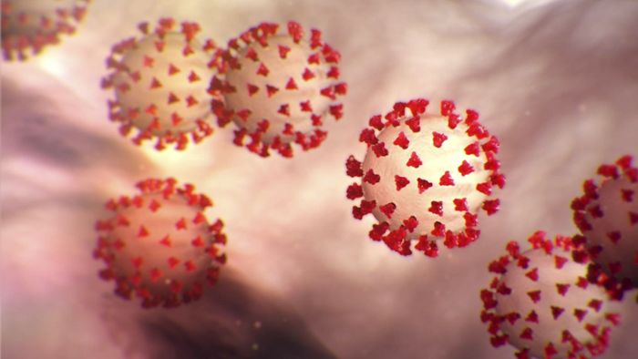 Sars und Corona: Welches Virus ist gefährlicher?