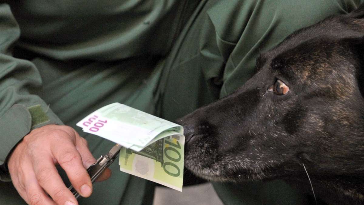 Tierischer Einsatz bei der Polizei: Spürhunde   können nun auch Bargeld erschnüffeln