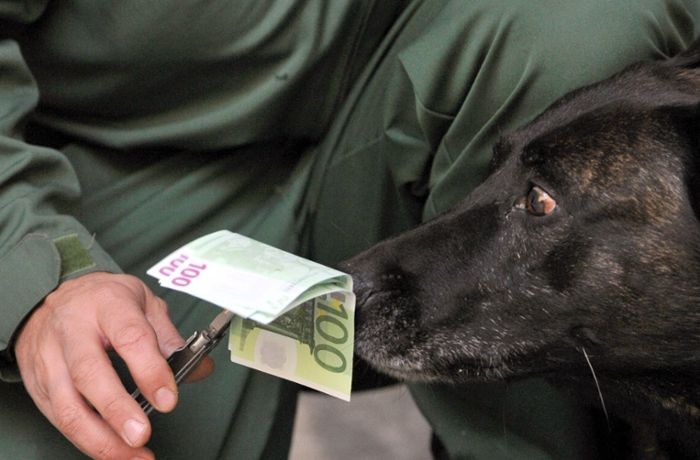 Tierischer Einsatz bei der Polizei: Spürhunde   können nun auch Bargeld erschnüffeln