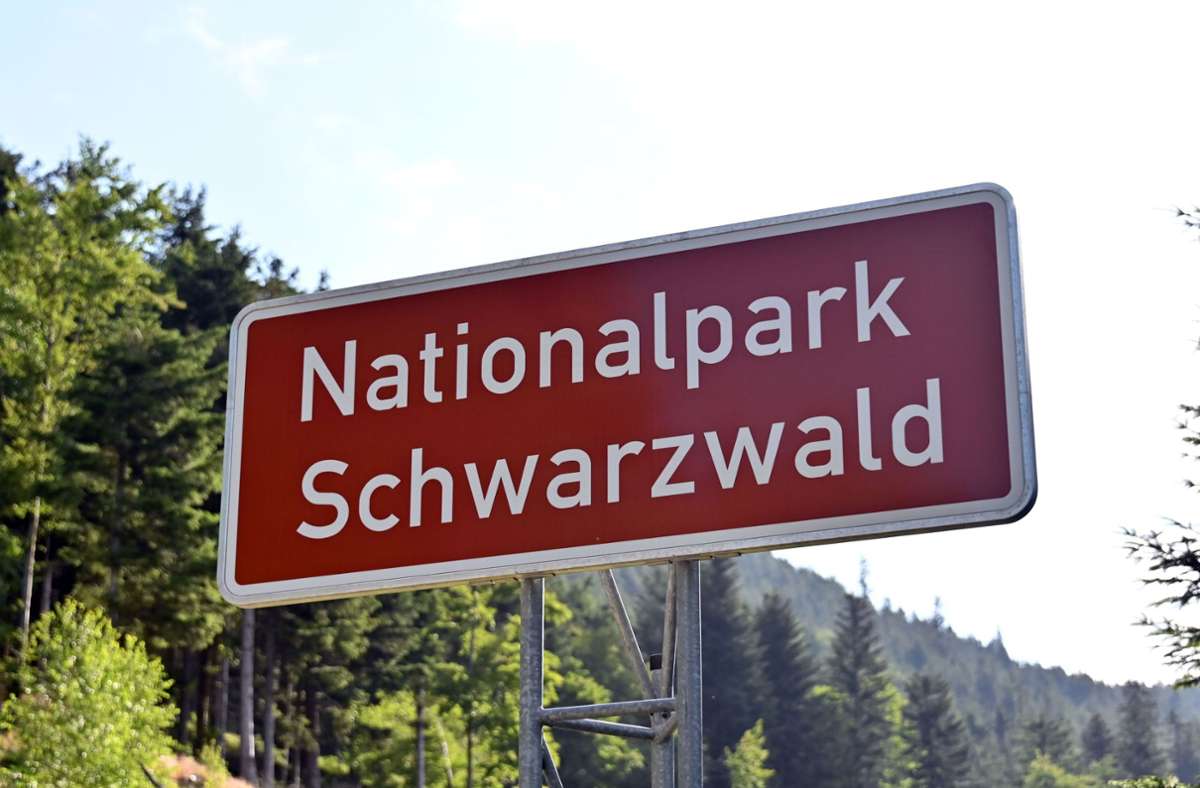 Nationalpark Schwarzwald: Kretschmann spricht Machtwort gegen CDU