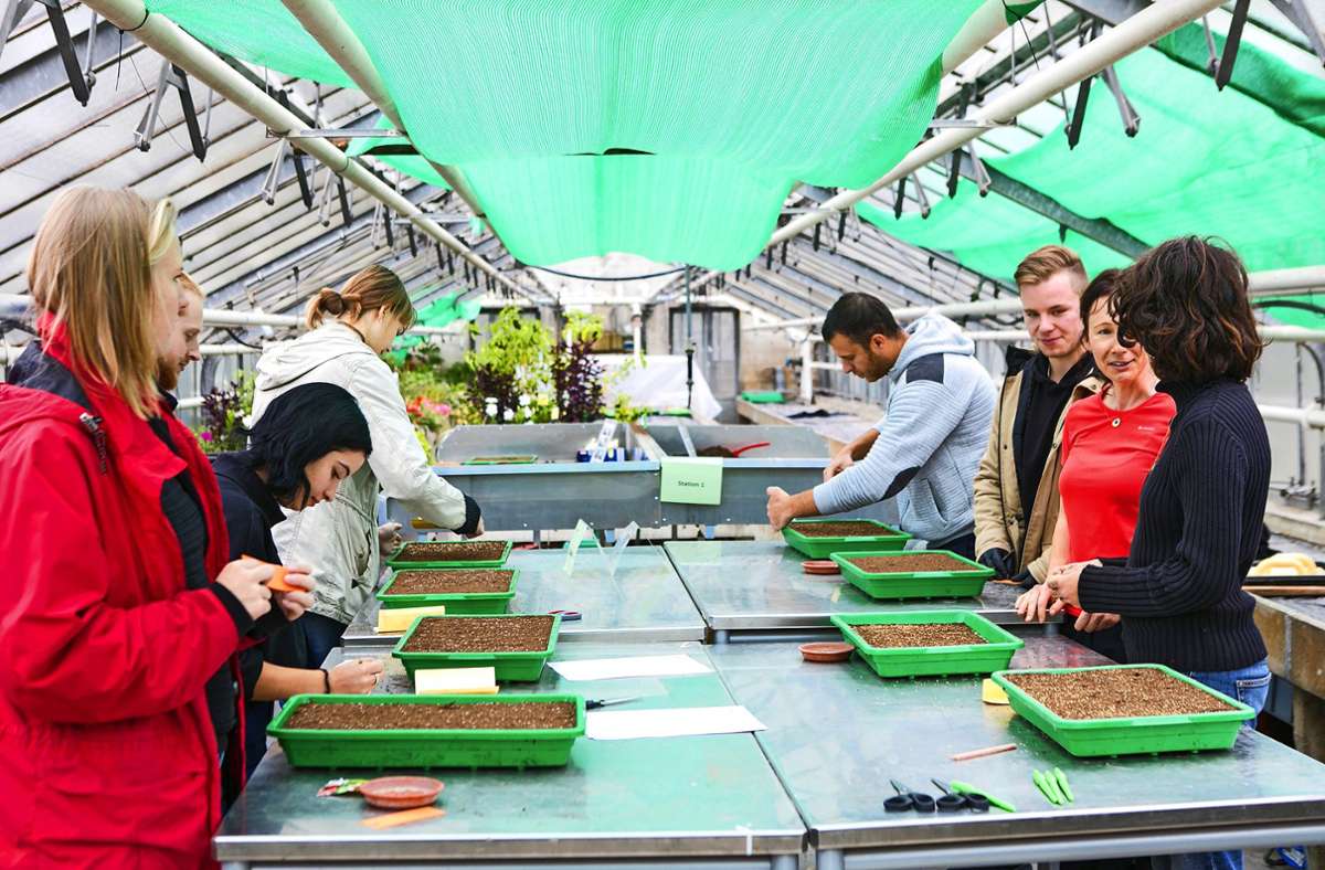 Landwirtschaftliche Schule in Stuttgart: Stadt schlägt Neubau auf Hohenheimer Campus vor