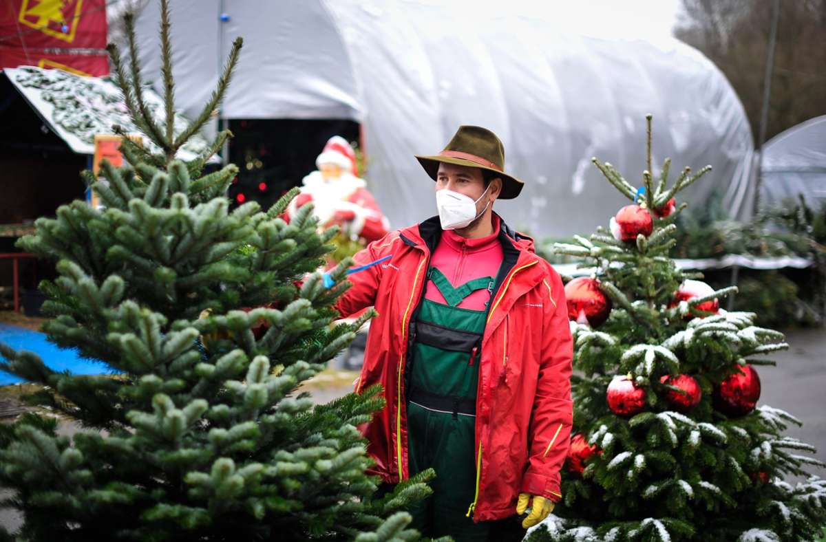 Christbaumverkauf in Stuttgart: Weihnachtsbaum kaufen in Stuttgart –  Die Verkaufsorte auf einen Blick