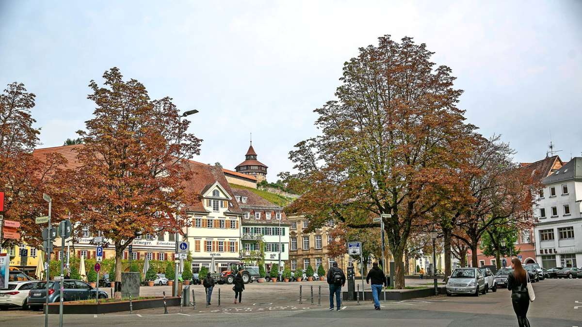 Die Stadt Esslingen setzt auf neue Arten: Heimischen Baumarten macht der Klimawandel zu schaffen