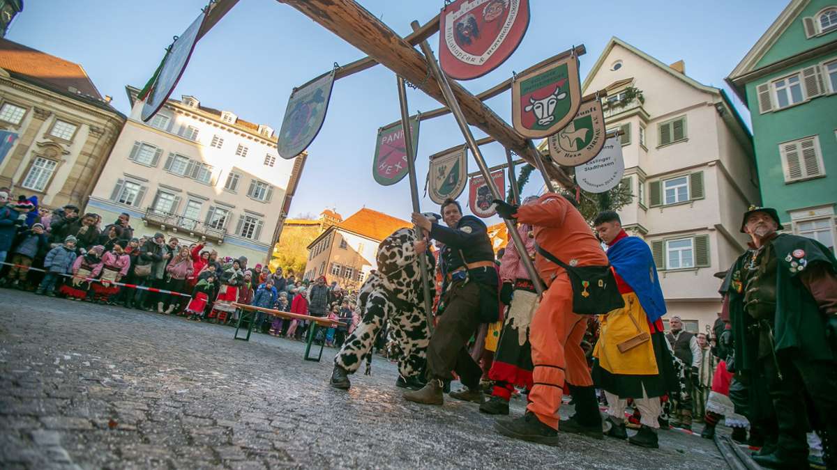 Fasnet in Esslingen: Narren tanzen unter dem Baum