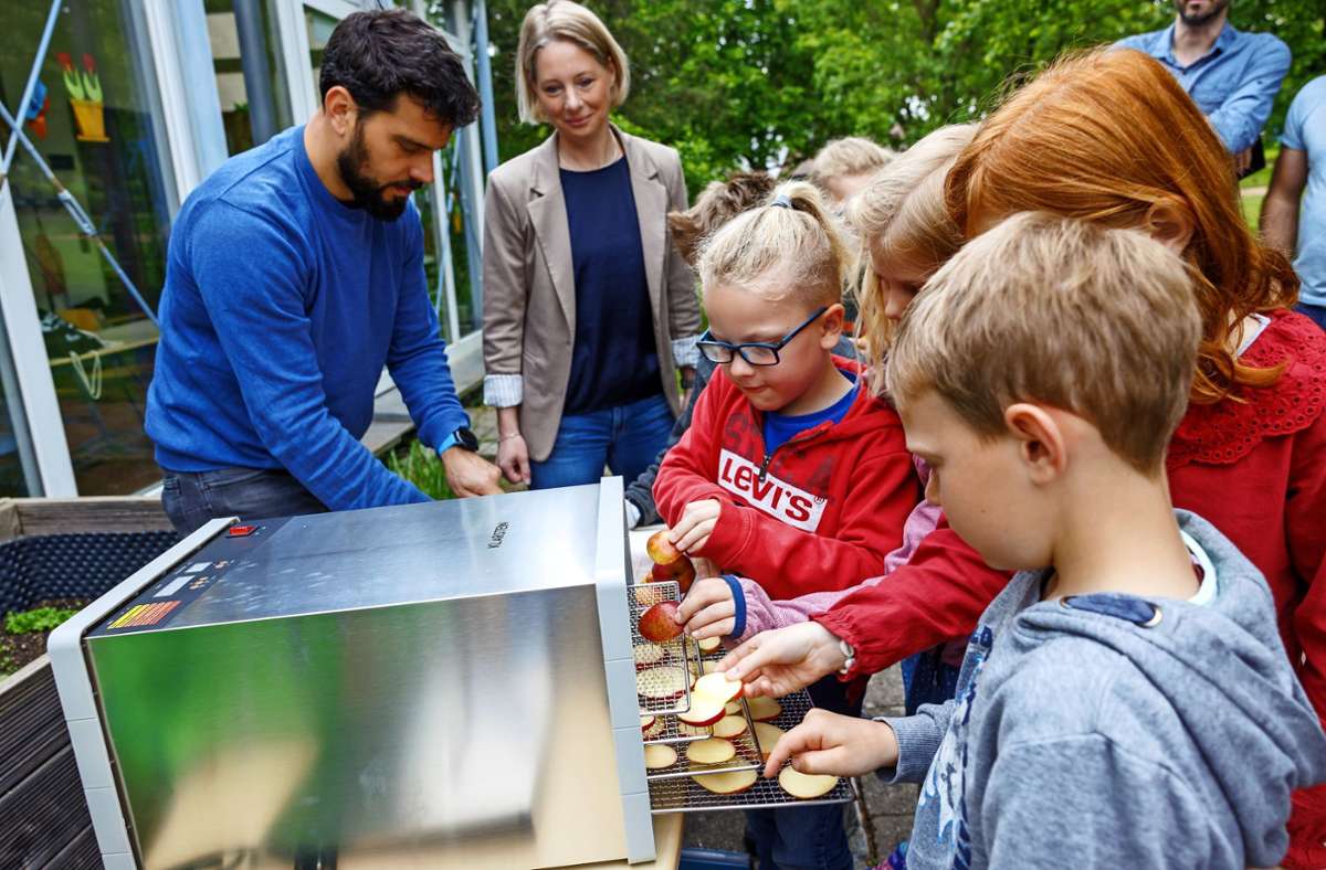 Schulprojekt in Rohrau: Dörrobst  statt Dividieren: So macht Lernen Spaß