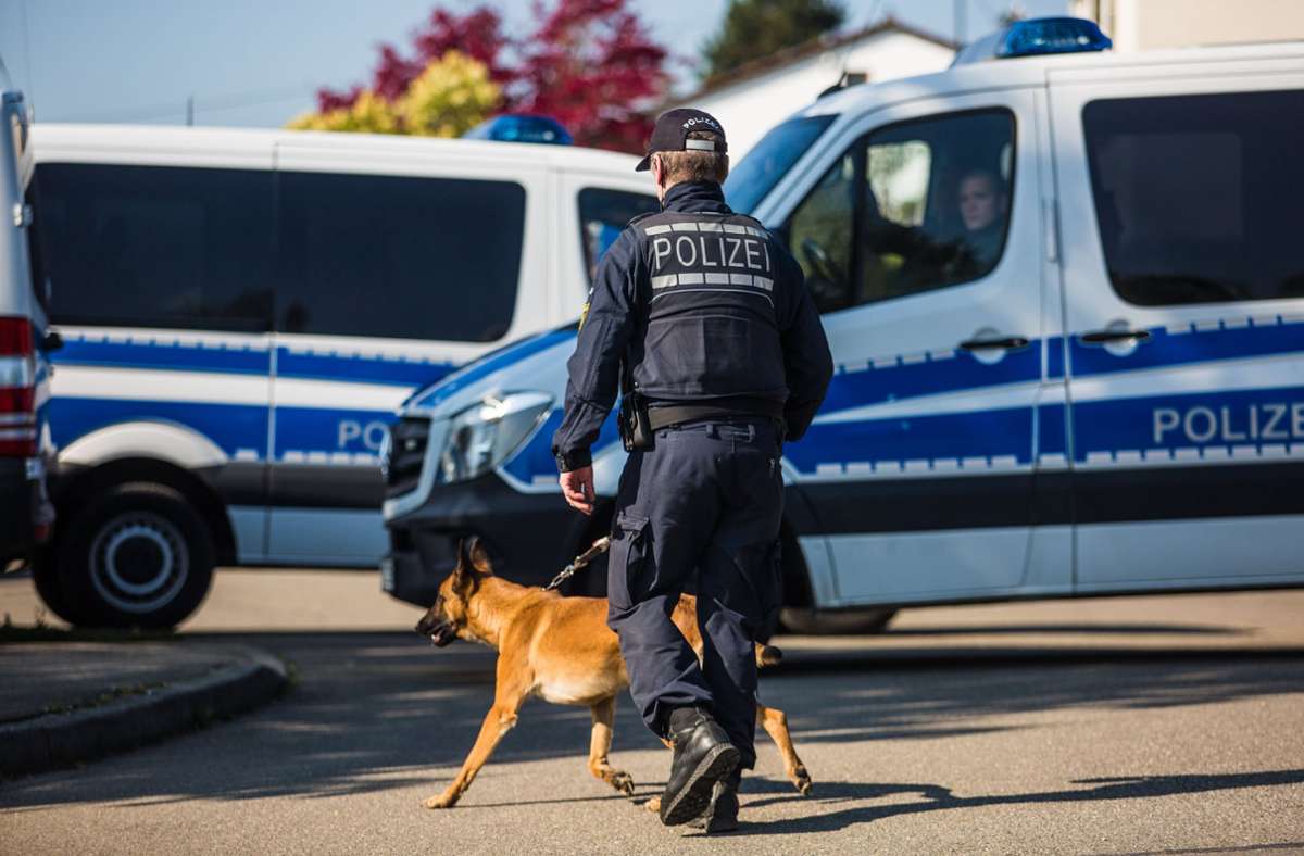 Baden-Württemberg: Deshalb erschnüffeln Polizeihunde jetzt auch Bargeld